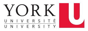 york-university